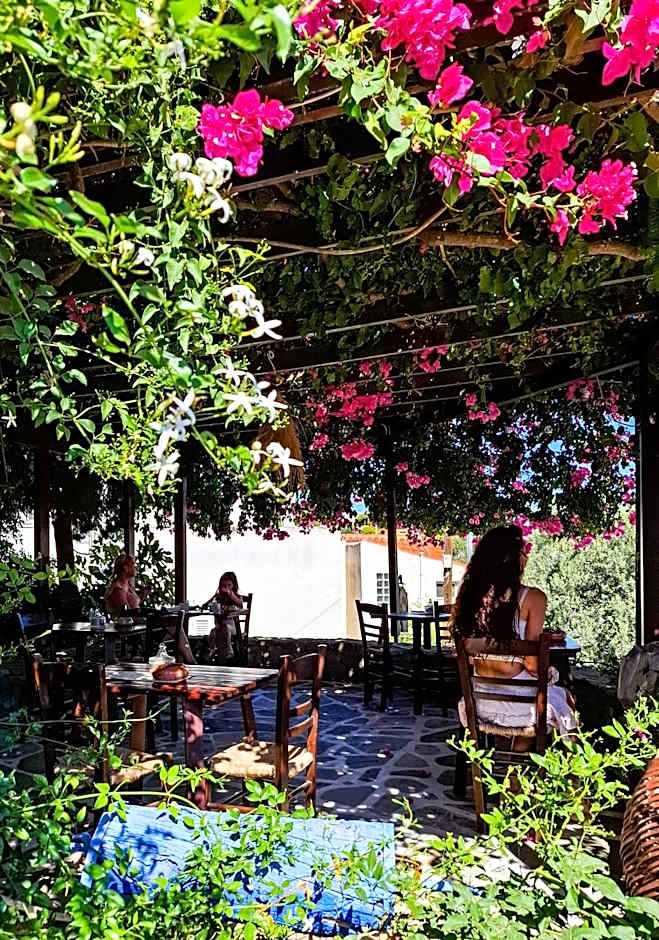 Vagia Traditional, Aegina Island