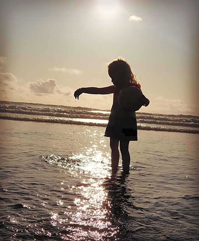 Port Waikato Holiday Park