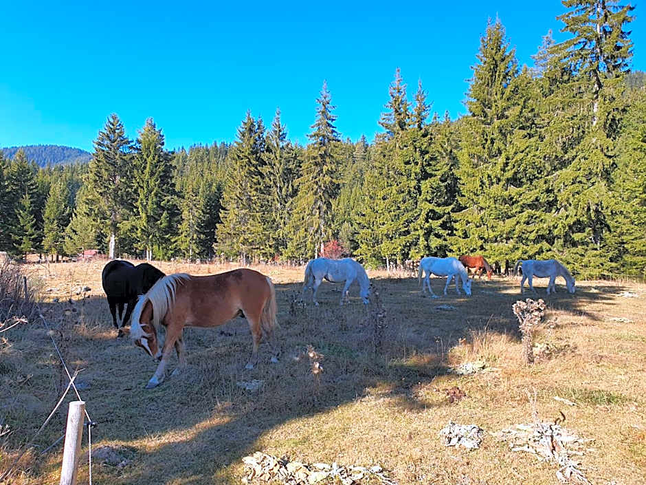 Апартамент Лейк Вю, вила Флора, комплекс Маунтин лейк