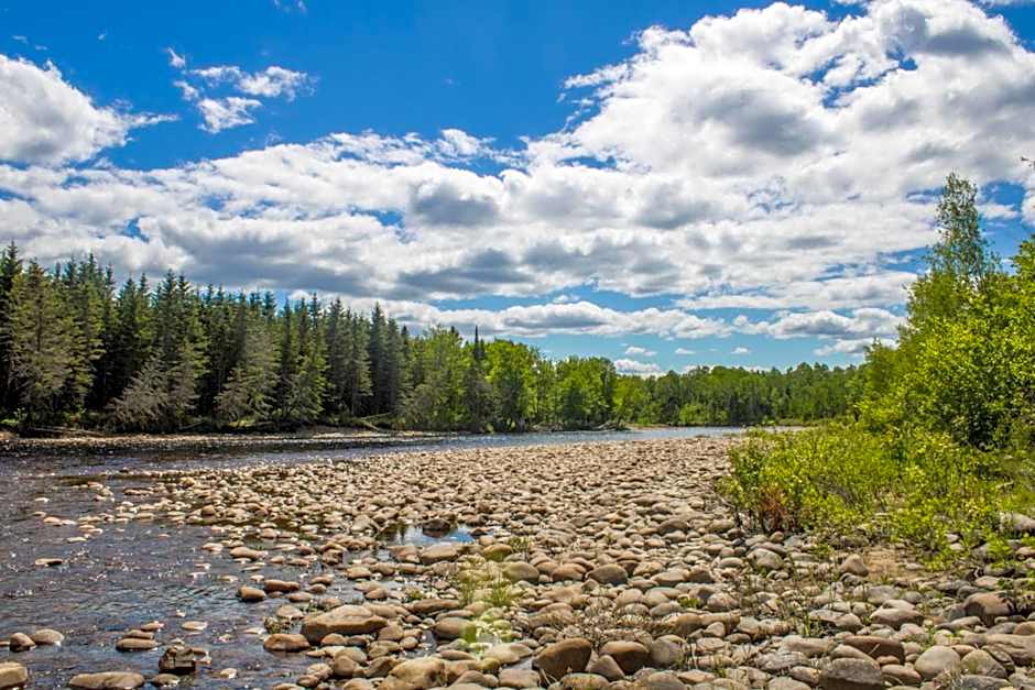 Riverside Cabin, Fishing, and Relaxation