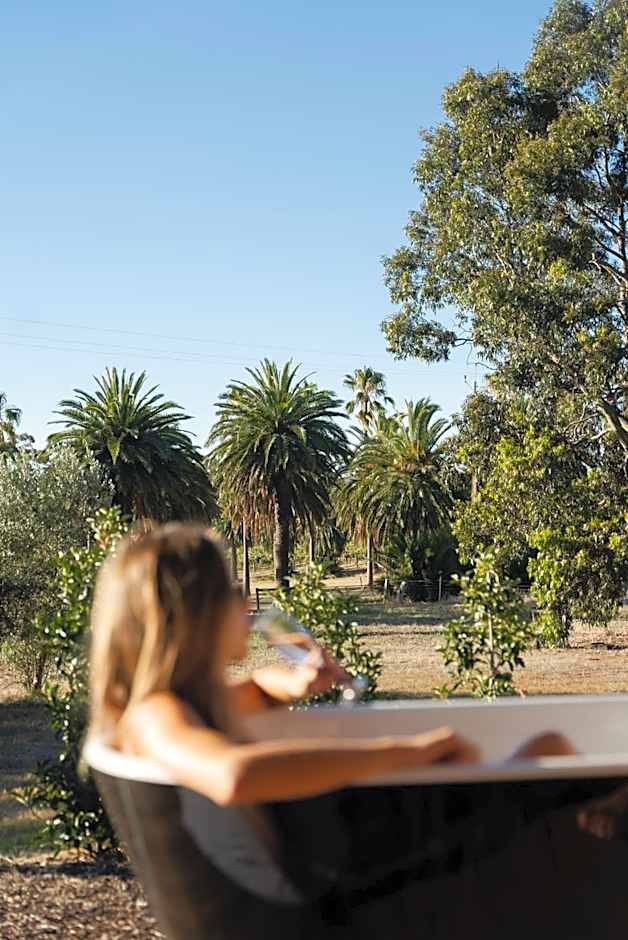 CANVS by CABN Seppeltsfield Barossa