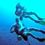Bayu Dive Lodge