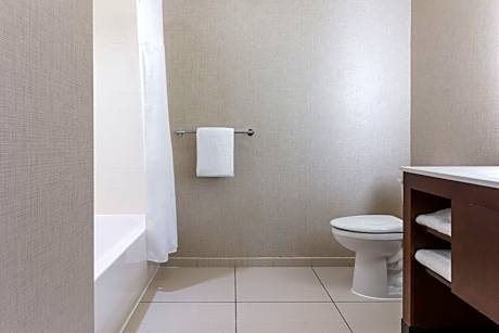 One-Bedroom King Suite with Sofa Bed - Mobility Accessible with Roll-In Shower