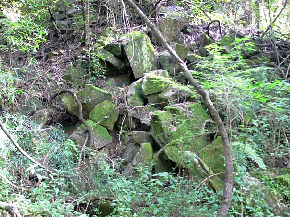 Magoebaskloof Getaway