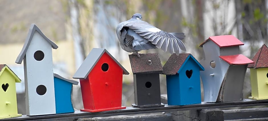 Chambre d'hôtes Le Cadran des Chauvelles