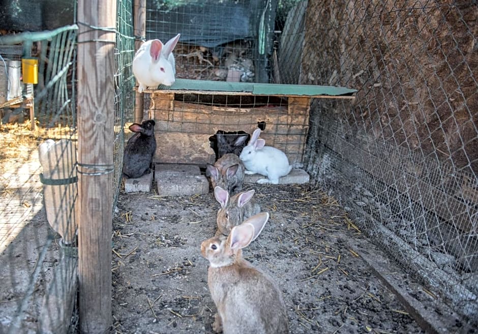 L'Agrifoglio di Assisi Residenza di Campagna