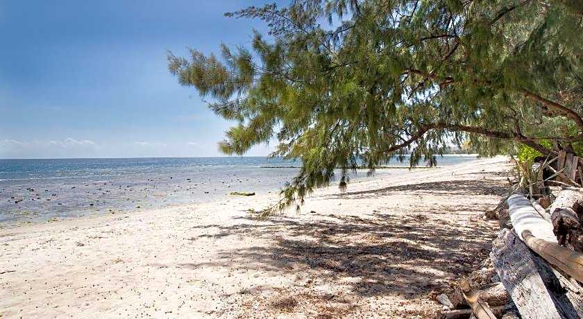 Cemara Beachfront Suite