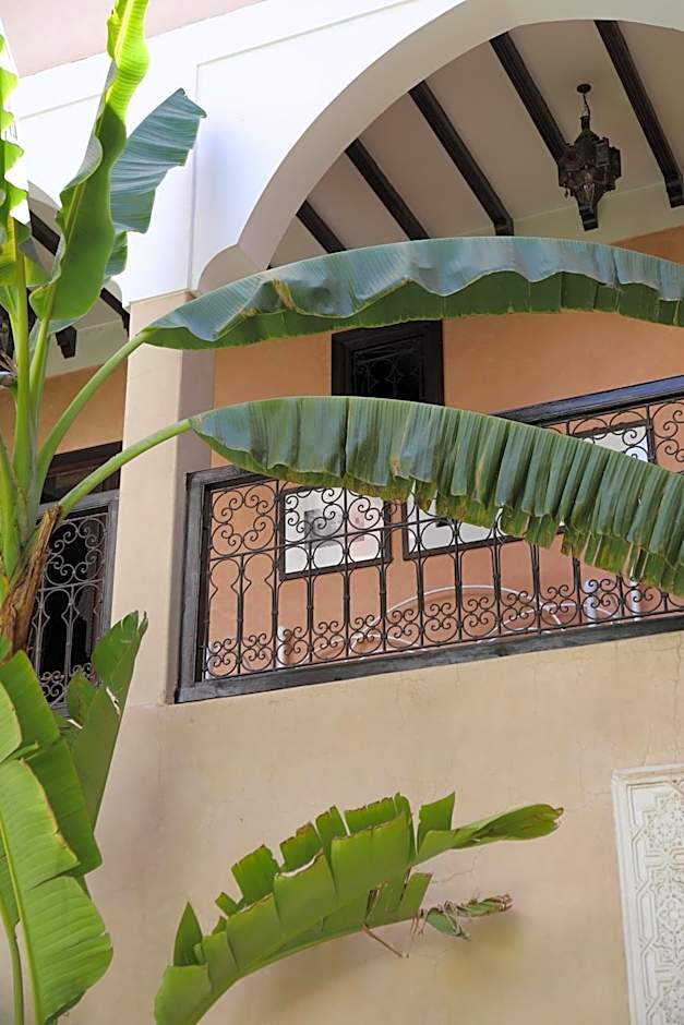 Riad l'Oiseau du Paradis