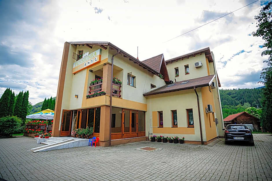 Pensiunea Floare de Colţ