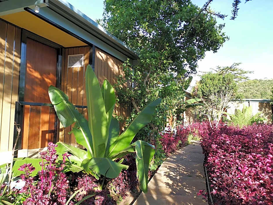 Jambo Mara Safari Lodge