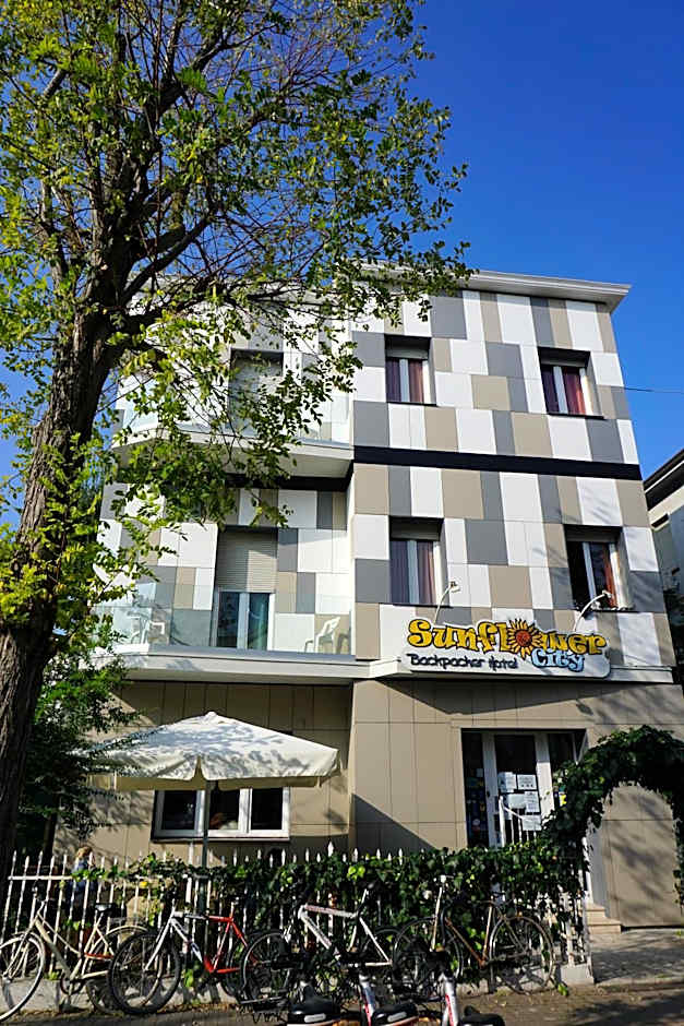 Sunflower City Student Hostel & Bar