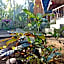 Jingga Home Penida