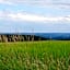Landhotel Plauen - Gasthof Zwoschwitz