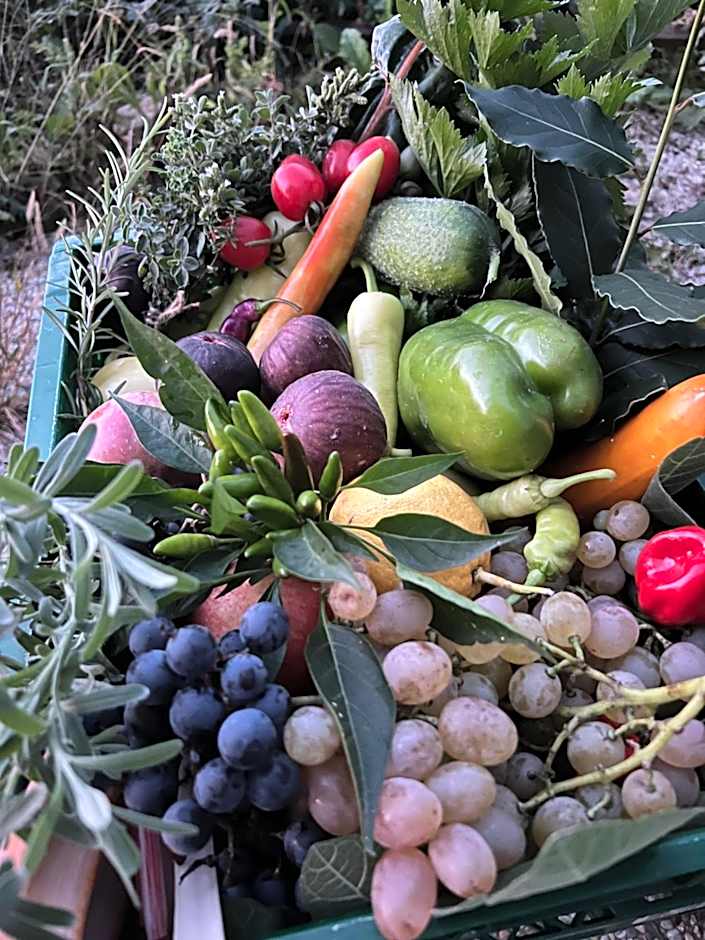 Ron De Mar - FLAMINGO