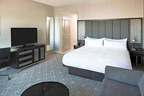 Room, 1 King Bed