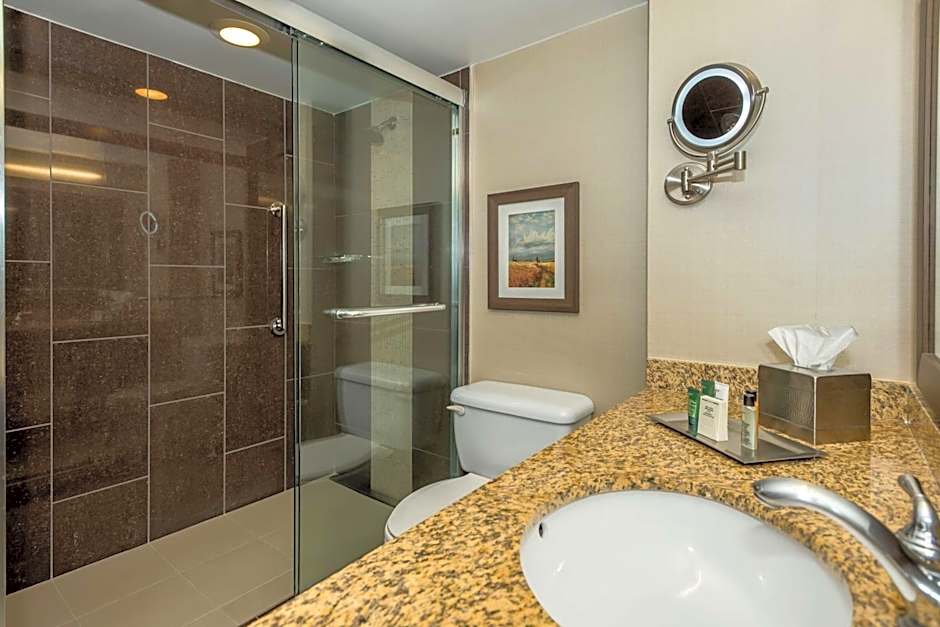 Hilton Winnipeg Airport Suites