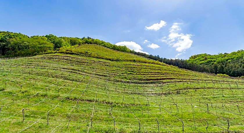 Toyoko Inn Tochigi Ashikaga-eki Kita-guchi