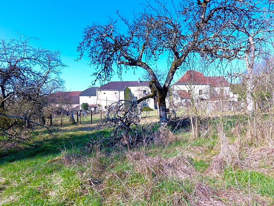 La Maison du Notaire - Chambre d'Hôtes - Huisdieren welkom