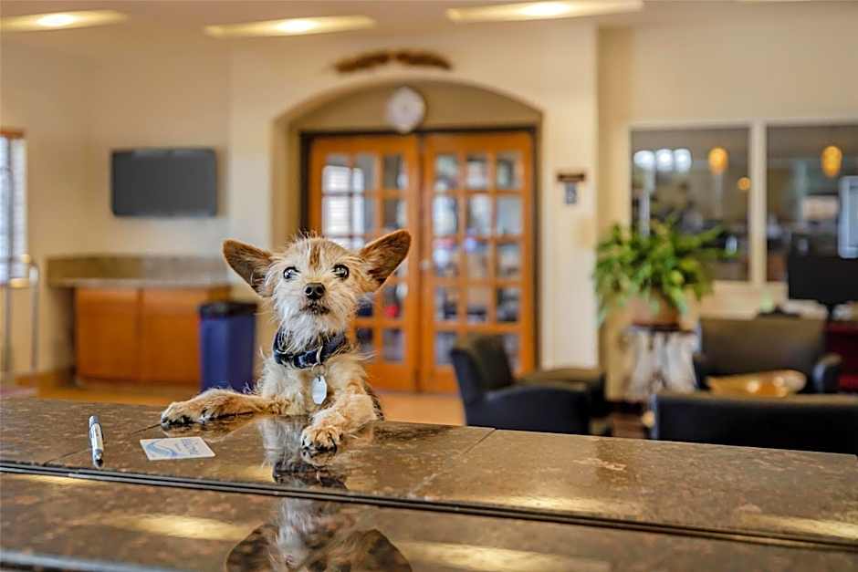 Best Western Firestone Inn & Suites