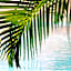 The Diplomat Boutique Hotel