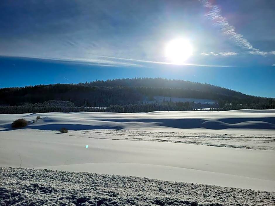 HOTEL Auberge du grand Git