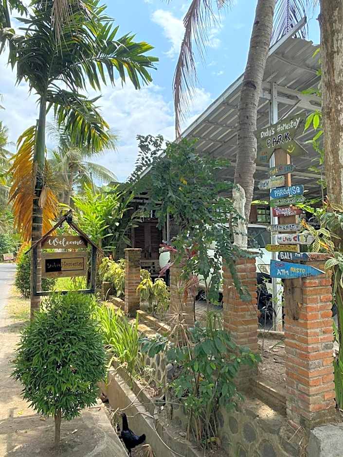 Didu's Homestay Bed & Breakfast