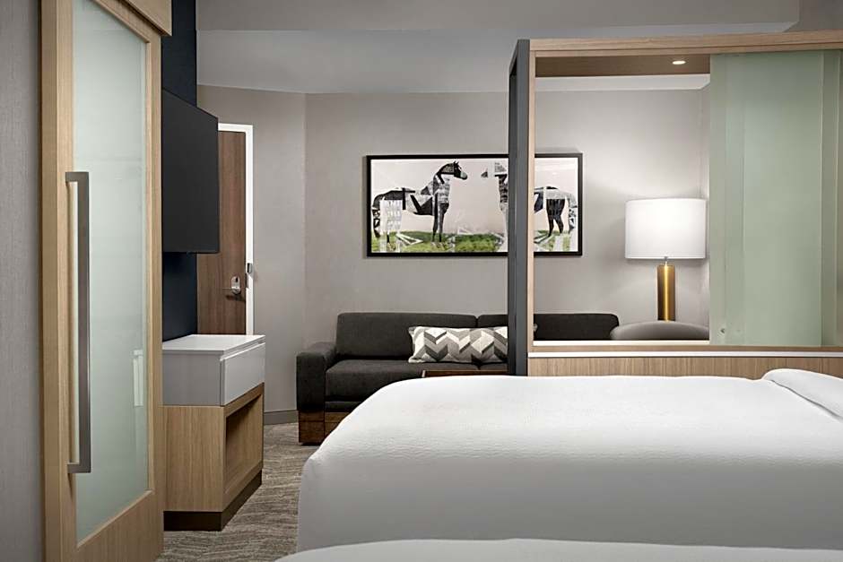 Springhill Suites by Marriott Lexington Fritz Farm