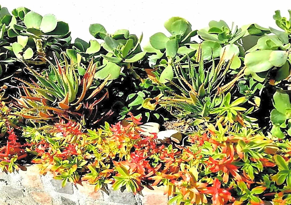 De Wingerd Wijnland Lodge