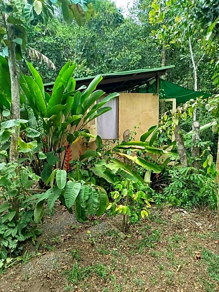 YbYmara Eco Glamping