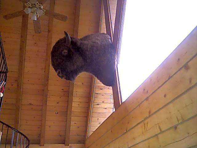 Alaska Adventure Cabins