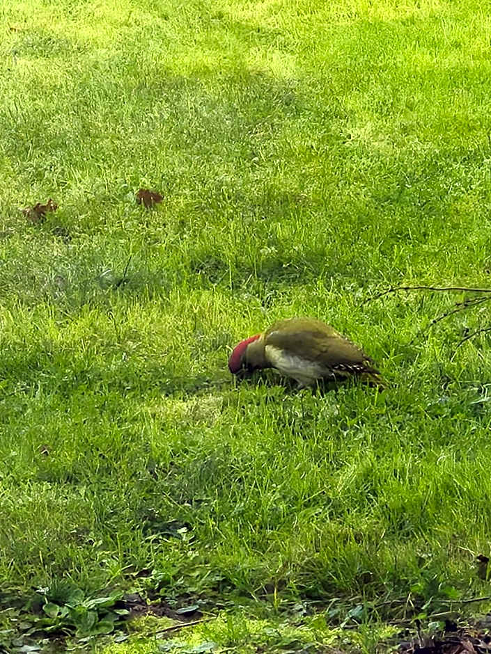 Gîte "Au Gré de l'Adour"
