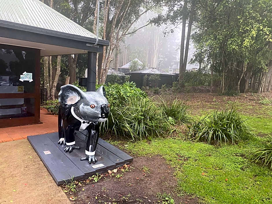 Koala Cabins Sunshine Coast