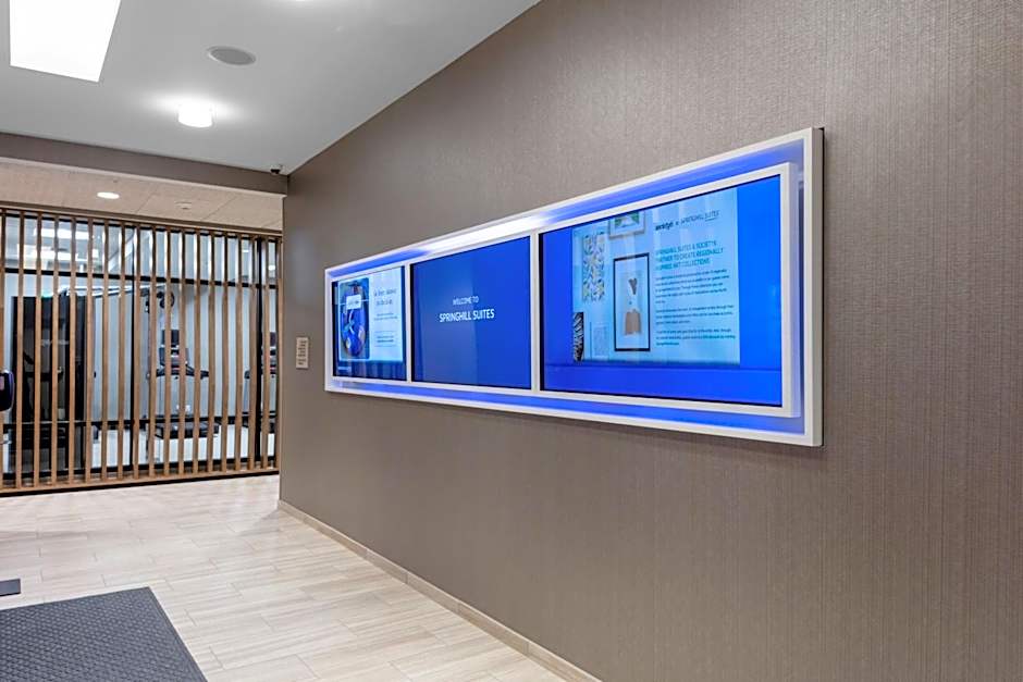 SpringHill Suites By Marriott Durham City View