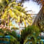 Bacalar B7 Blue