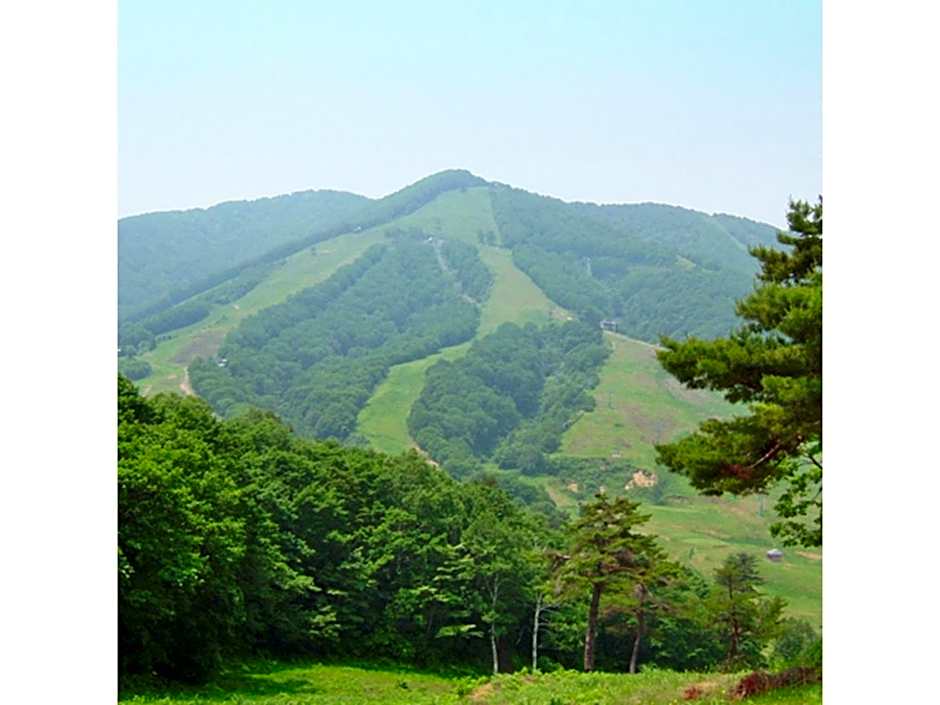 Hotel Silk in Madarao - Vacation STAY 79648v