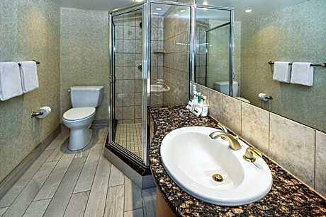 Deluxe Rooms (1 Queen, 1 King or 2 Queen)