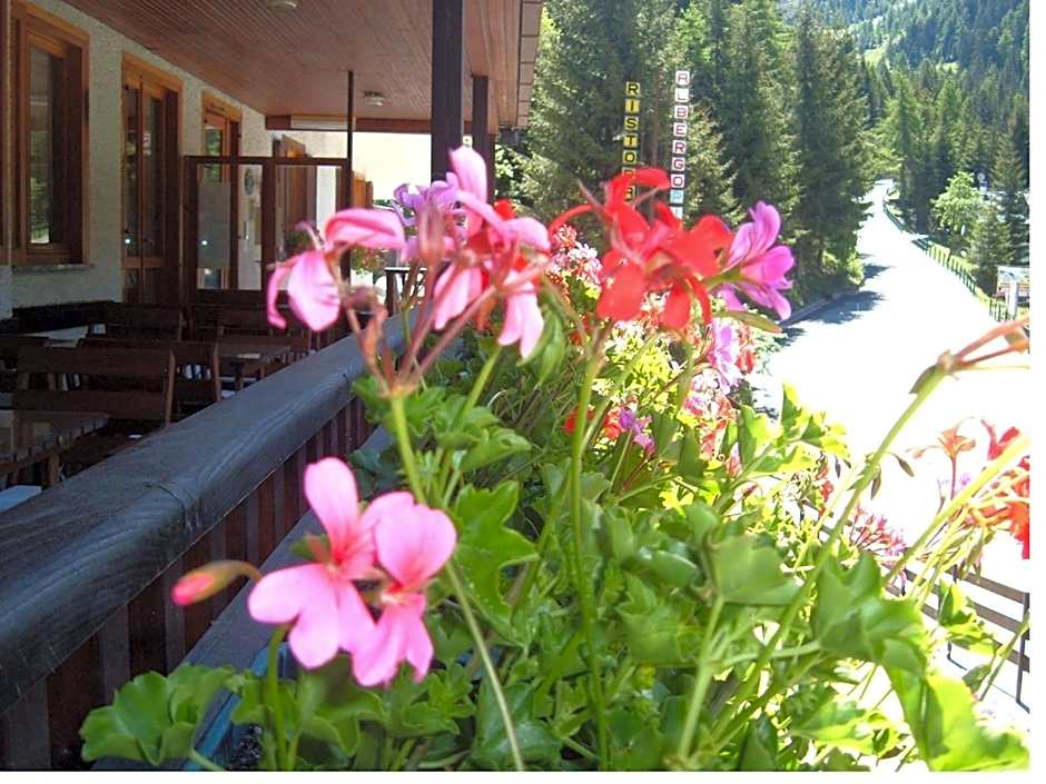 Albergo Pineta