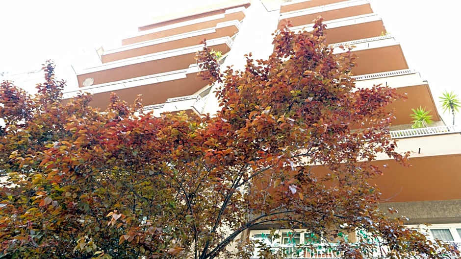 B&B La Perla di Roma