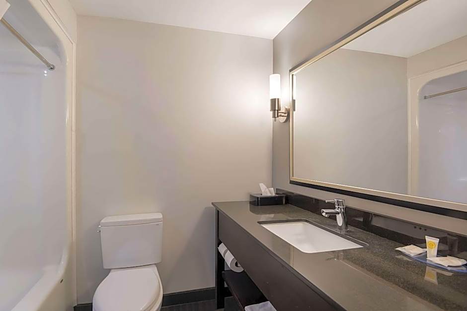 Clarion Pointe Downtown