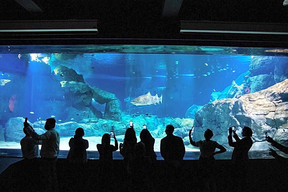 Labourdonnais Waterfront Hotel