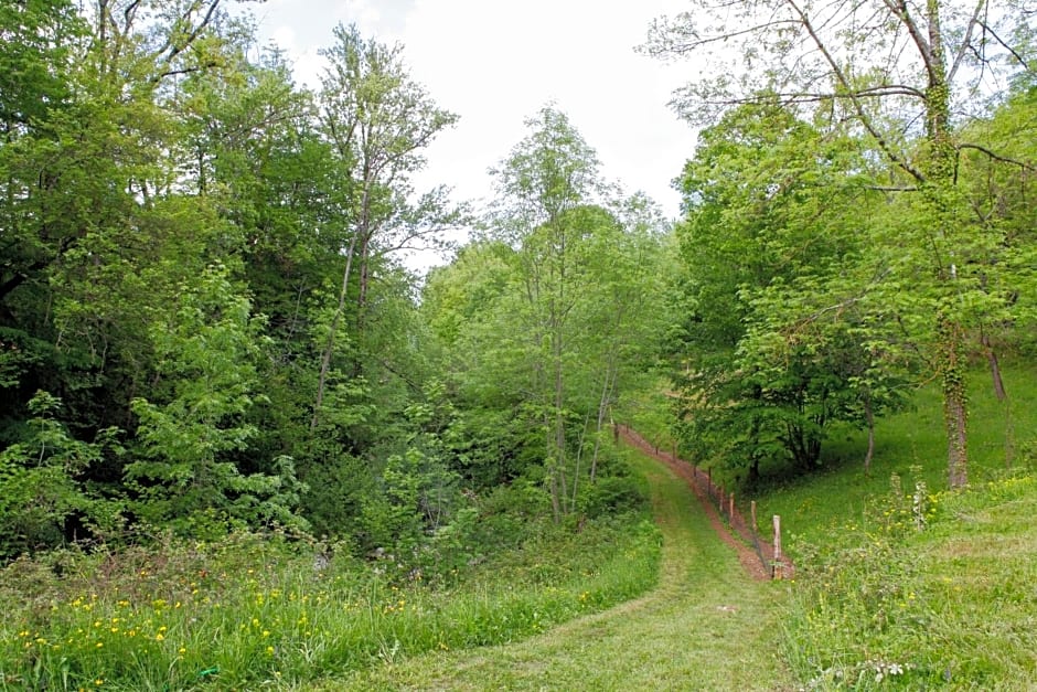 Moulin d'entre les roches