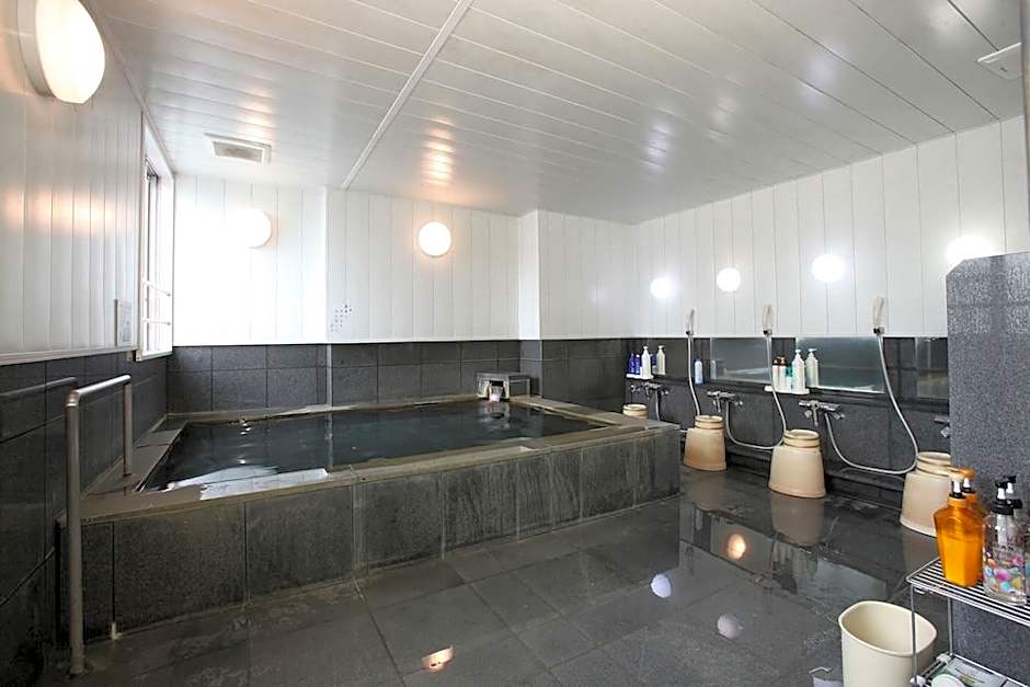 Hotel Acty