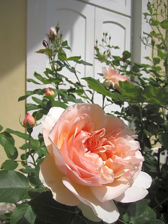 Residence Zum Theater