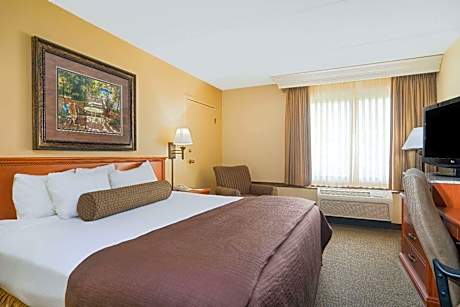King Room - Non-Smoking