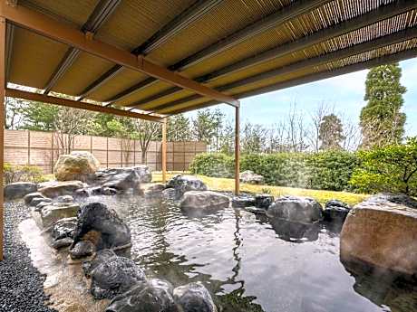 Classic Accessible Room