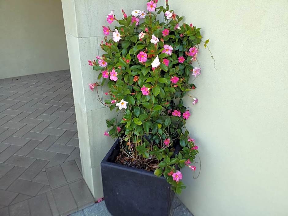 Sorrento Beach Bed & Breakfast