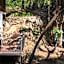 Casa Selva Sayulita