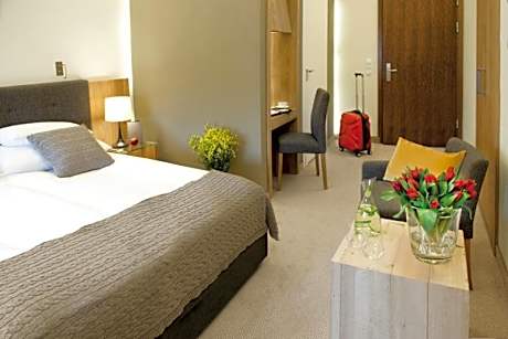 Standard Double Room – Castle