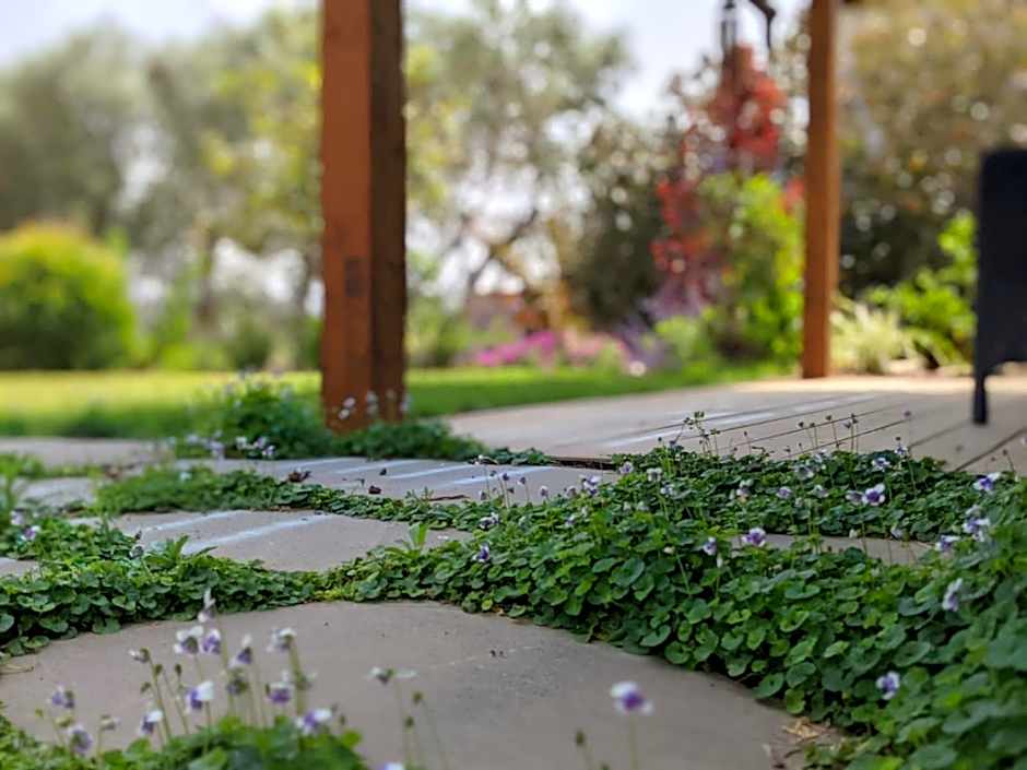 Provence in the Valley