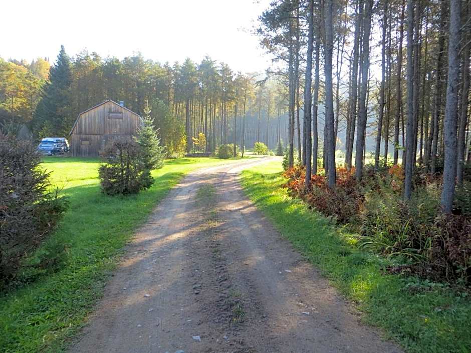 La maison sous les arbres